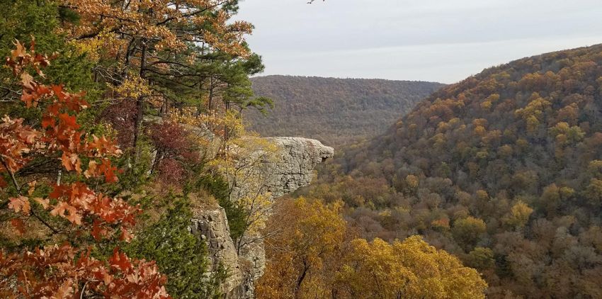 Hawksbill Crag with peak fall foliage November 9, 2021.