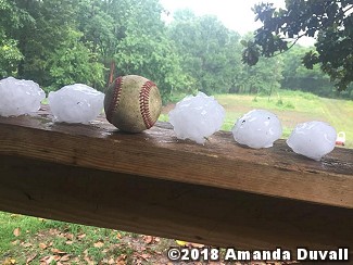 Hail was not as big as a softball (shown), but it was at least baseball size five miles southwest of Hector (Pope County) on 06/02/2018. The photo is courtesy of Amanda Duvall.