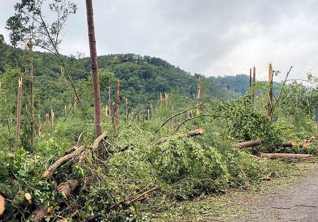 A tornado (rated EF2) snapped numerous trees and deposited a tree onto a home several miles south and southeast of Heber Springs (Cleburne County) on 09/01/2020.