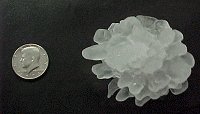 Baseball size hail was produced just north of Little Rock (Pulaski County) on 01/21/1999.