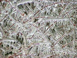 Exposed objects were coated in a thick layer of ice at the North Little Rock Airport (Pulaski County) in late December, 2000.