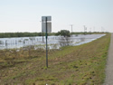 flooded field