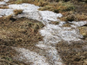 pile of hail