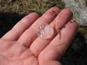 quarter sized hail 9 hours after the event