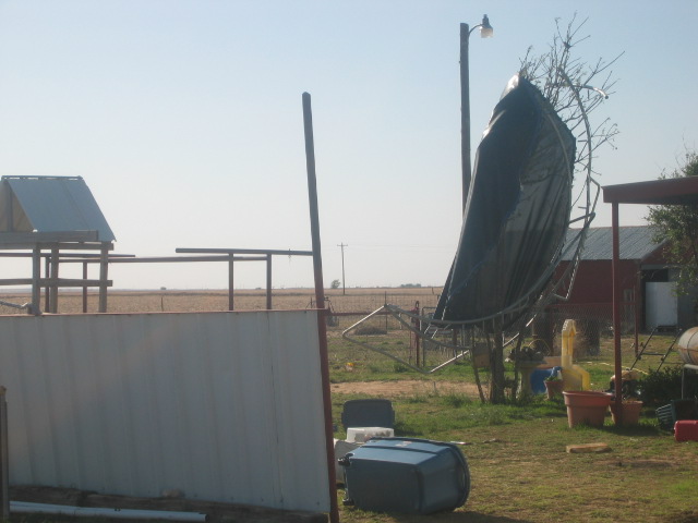 Storm damage showing a trampoline wrapped around a tree