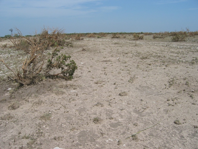 This is an example of the damage along the tornado path.