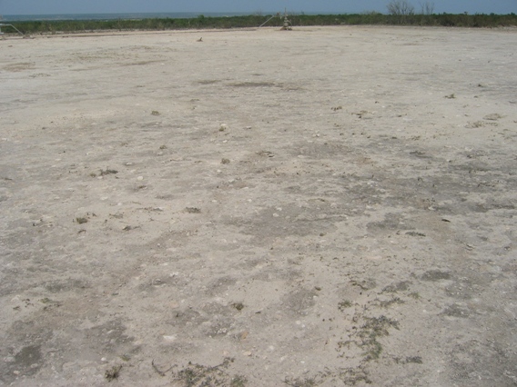 The area was covered by gravel and other rocks prior to the tornado.  Now it's bare.