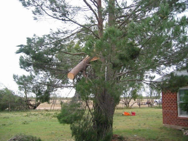 Photo of a broken tree limb near a home.