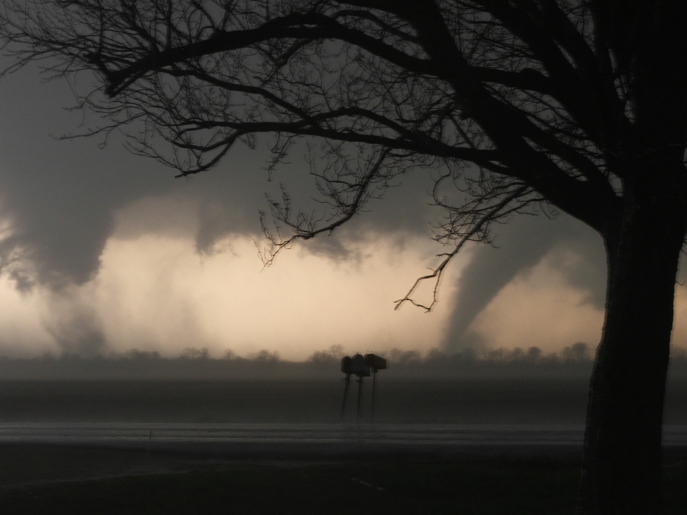Multiple tornadoes in Dunklin County, Missouri. Photo by Duncan Phenix. 
