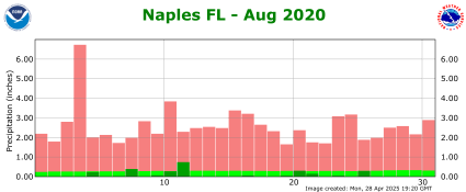 August rainfall 2020