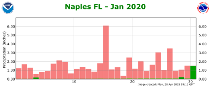 January rainfall 2020