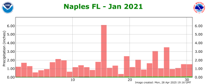 January rainfall 2021