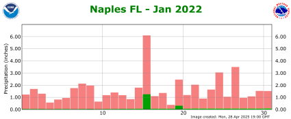 January rainfall 2022