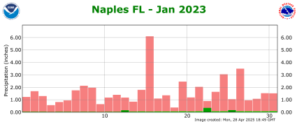 January rainfall 2023