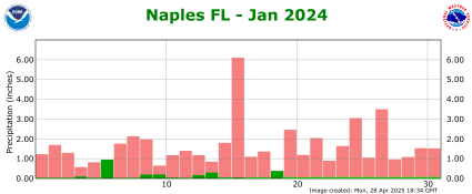 January rainfall 2024