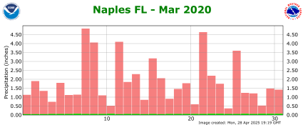 March rainfall 2020