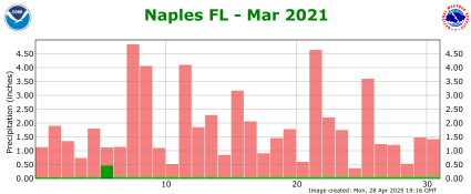 March rainfall 2021