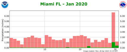 January rainfall 2020