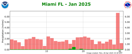 January rainfall 2025