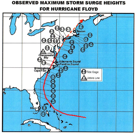 Storm Surge Height Maximums