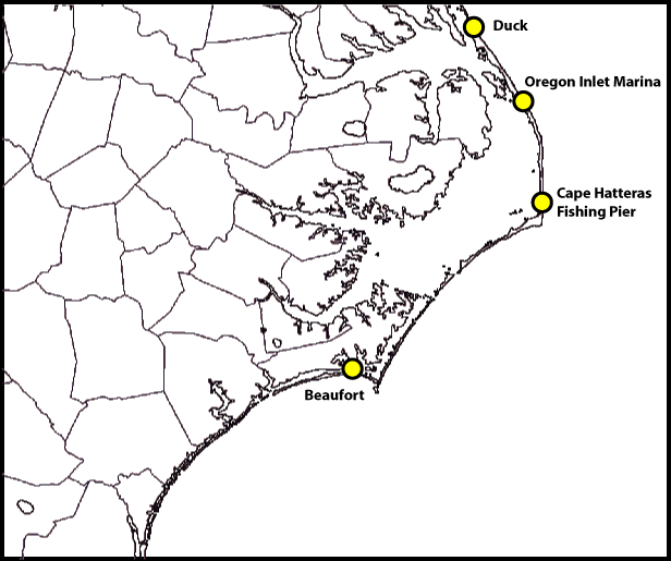 Isabel IR Satellite Graphic