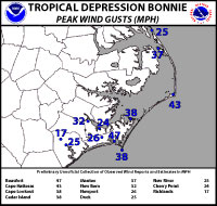Bonnie Wind Gusts Graphic