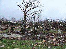Tornado Damage near Highway KD