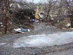 Tornado Damage south of Highway 50
