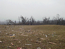 Tornado Damage near Highway KD