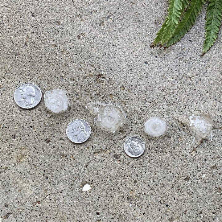 Hail Image