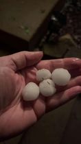Photo of four hail stones in the palm of someone's hand. They appear to be 0.8 to 1.0 inch in diameter.