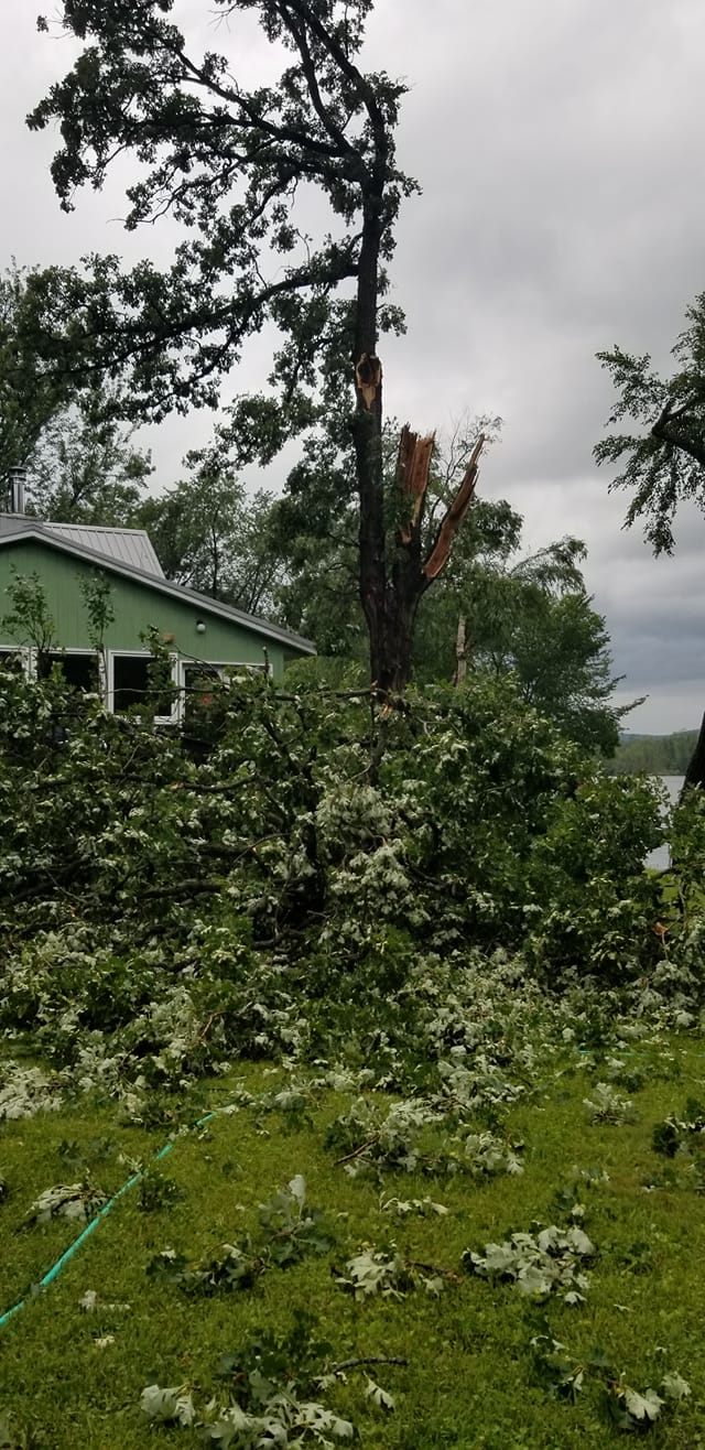 Wind Damage