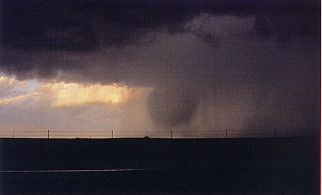 thunderstorm  downburst picture