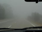 fog
