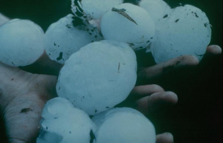 hailstones