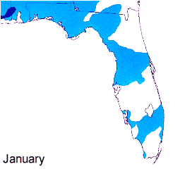 Jan FL Lightning Climo