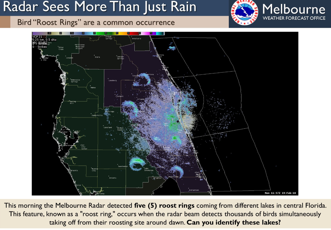 Coyote CA weather radar map - Base Reflectivity 