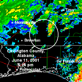 Radar image of Covington County, Alabama on June 11, 2001