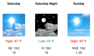 Point and Click Forecast Image