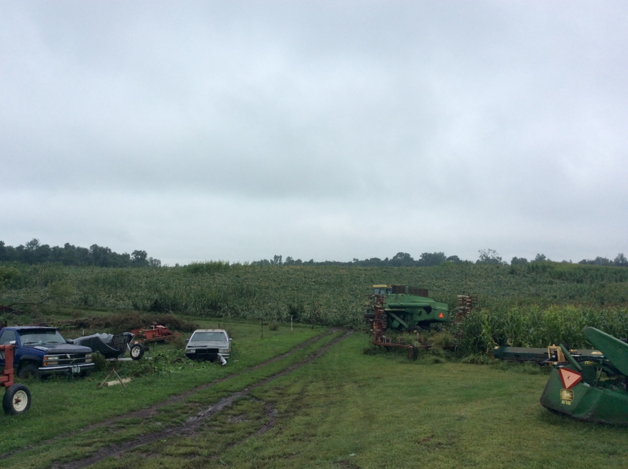 Corn Field Path