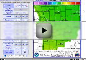 Video Weather Briefing