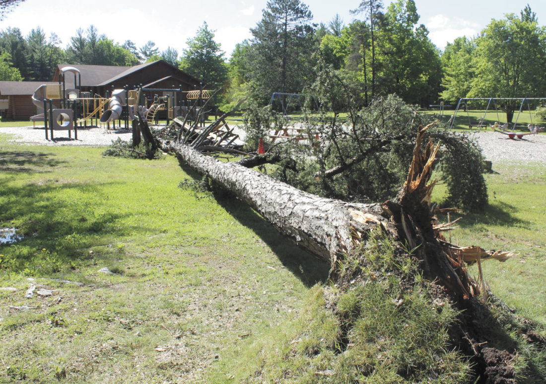 Iron Mountain - City Park. Courtesy Mountain-Daily News