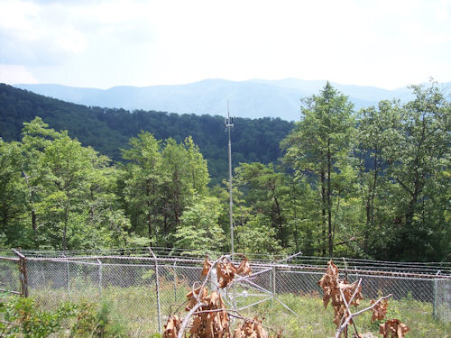 View of the Indian Grave RAWS site looking south