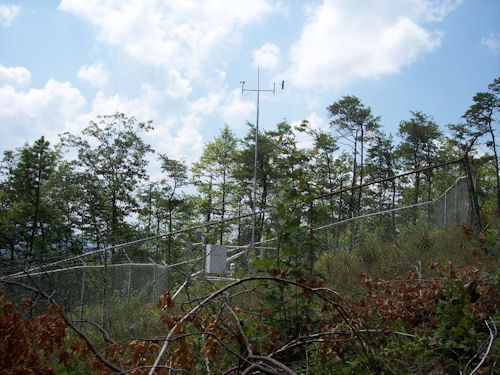 View of the Indian Grave RAWS site looking west