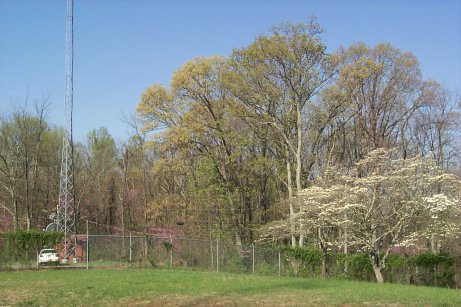 View of the Jefferson RAWS site looking west
