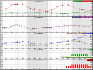 Hourly Forecast