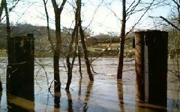 Flooded river view from the gage