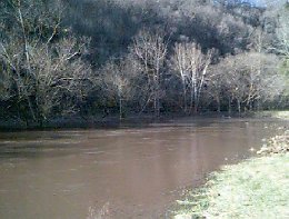 About a half mile upstream from the gage, looking upstream