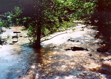 View from above the falls