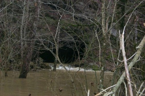 View of water pouring from a cave into the Powell River in Claiborne County, which is already in flood.